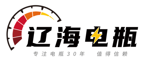 重庆辽海电瓶